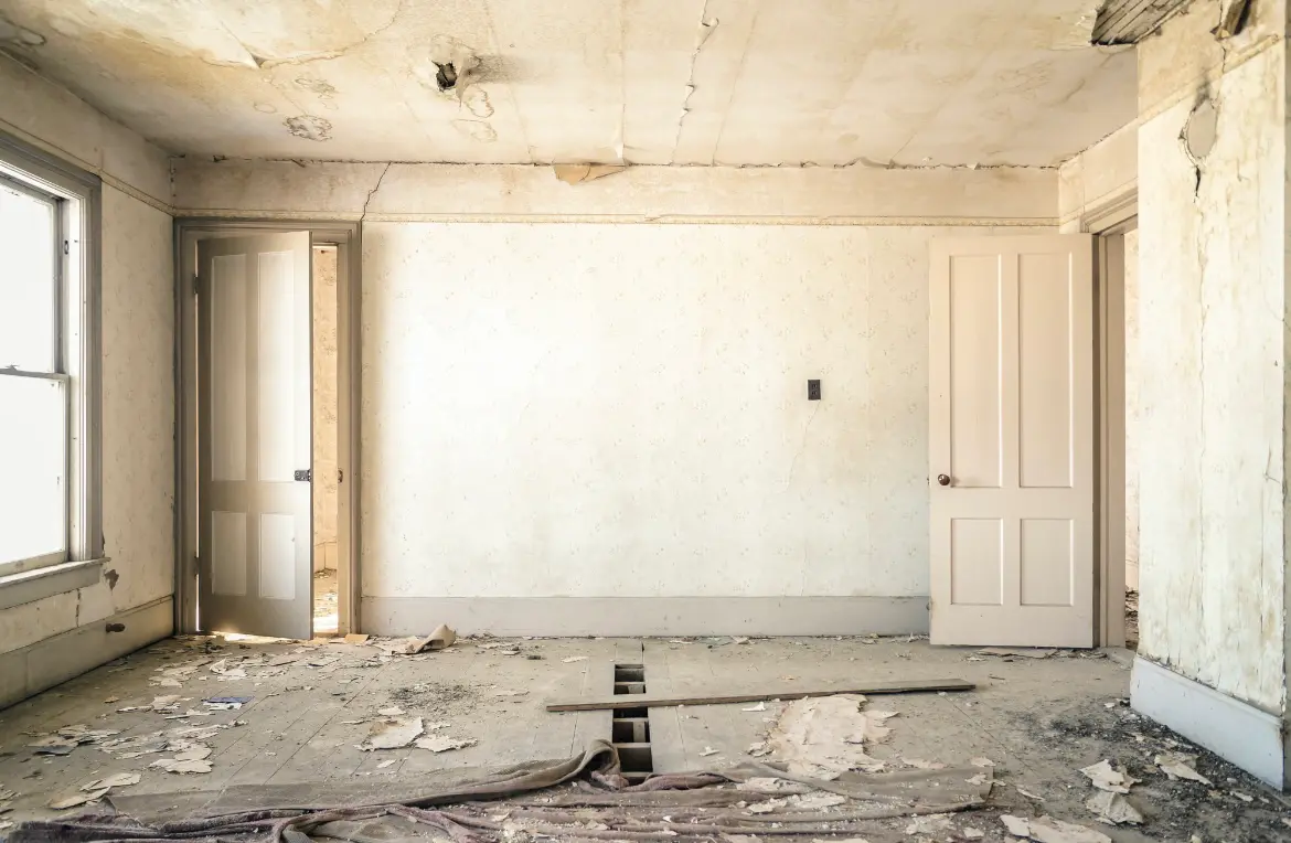 Waste disposal crew managing a cleanout project in Amelia